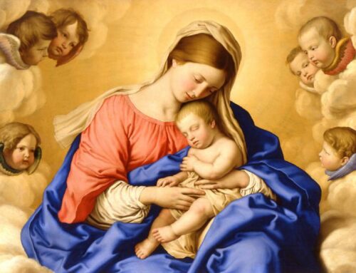 ¿Why is May called the month of Mary, and especially dedicated to her? 