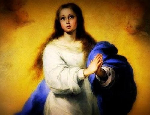 Immaculate Conception of Mary – 8 December