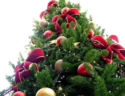 The origins of Christmas Tree